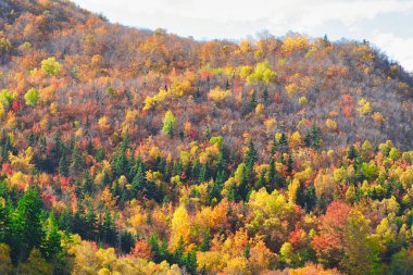 Cape Breton Nova Scotia Kanada