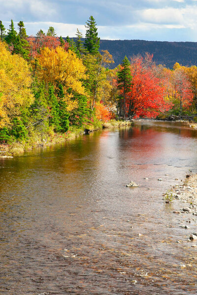Кейп-Бретон, Новая Шотландия, Канада