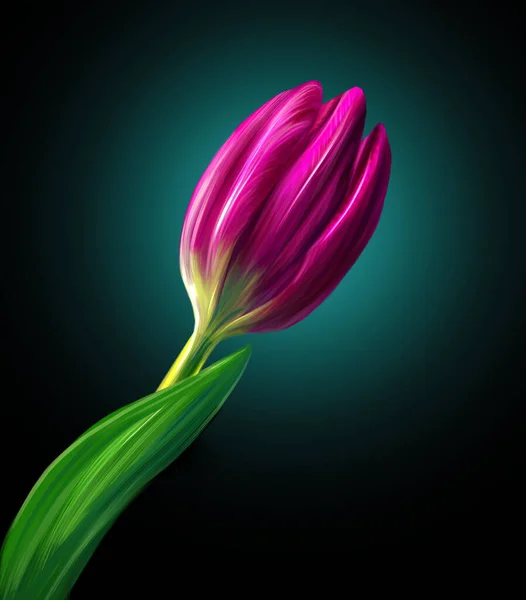 Digital drawing of tulips.