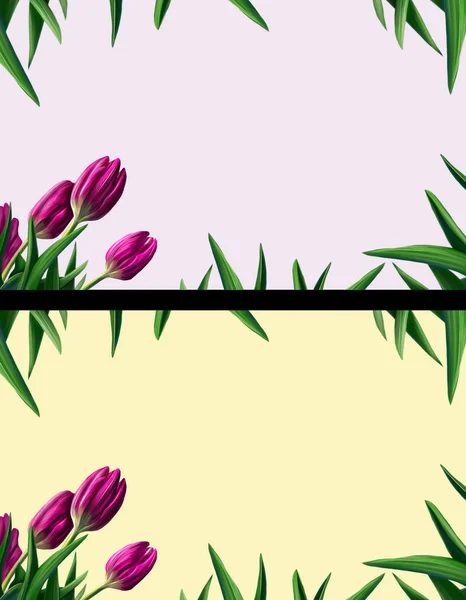 Digital drawing of frame of tulips.