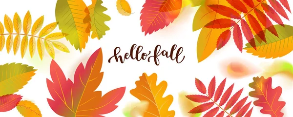 Hello Fall Sale Horizontal Promotion Banner Bright Warm Colors Design — Stock Vector