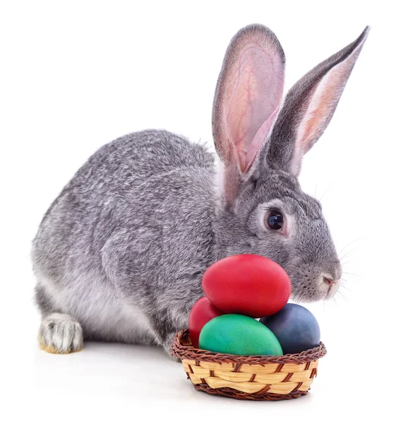 stock image Easter bunnies with colored eggs isolated on a white background.