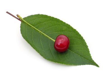 Beyaz arka planda izole edilmiş yaprağın üzerinde olgun bir kiraz..