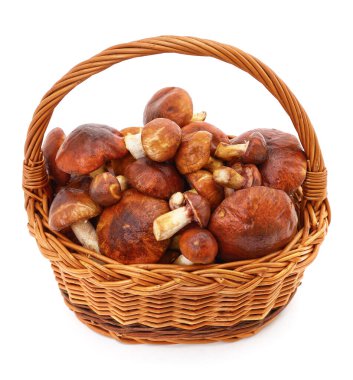 Beyaz bir arka plan üzerinde izole mantar sepeti.