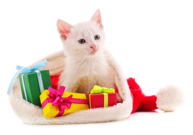 Beyaz arka planda izole edilmiş Noel hediyeli kedi yavrusu..