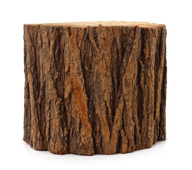 One large tree stump isolated on a white background.