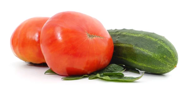 在白色背景上分离的黄瓜和西红柿 — 图库照片