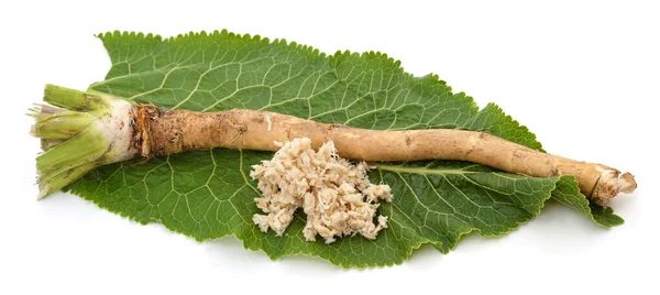 Stock image Horseradish roots and leaves isolated on a white background.