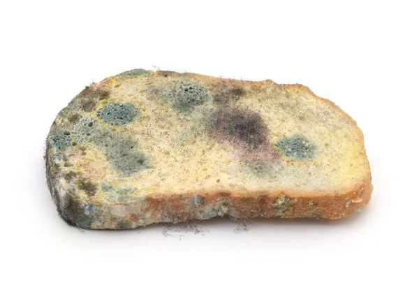 Piece Moldy Bread Isolated White Background — Stock Photo, Image