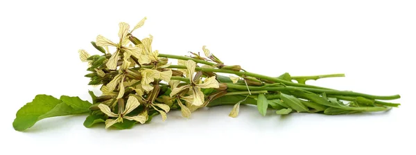 Arugula Květiny Listy Izolované Bílém Pozadí — Stock fotografie