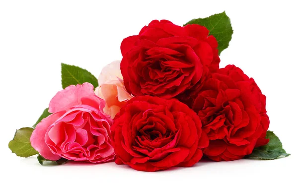 Kytice Růží Izolovaných Bílém Pozadí — Stock fotografie
