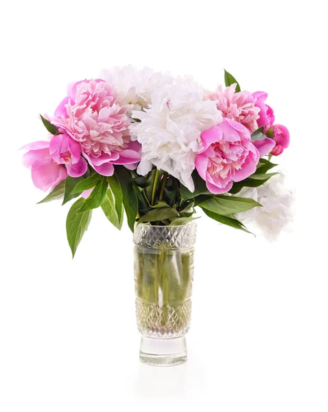 stock image White and pink peonies in a vase isolated on a white background.