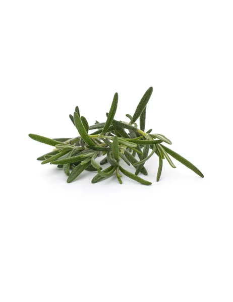 Branch Green Rosemary Isolated White Background — Stock Photo, Image