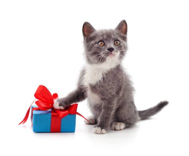 Kedi yavrusu ve hediye beyaz arka planda izole edilmiş..
