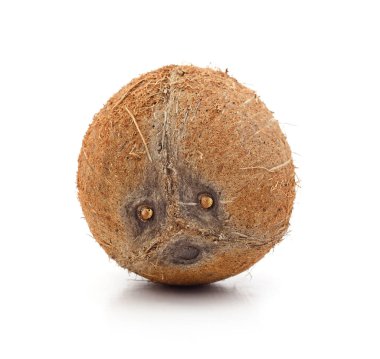 Bir hindistan cevizi beyaz arka planda izole edilmiş..