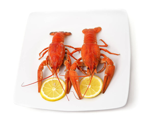 Two boiled crayfish with slices of lemon isolated on a white background.