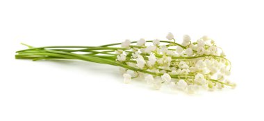 Beyaz bir arka planda izole edilmiş bir buket beyaz zambak..