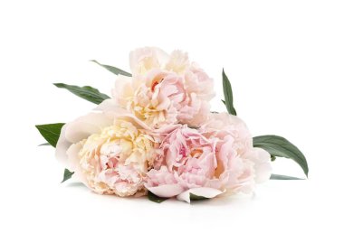 Beyaz şakayıklar beyaz arka planda izole edilmiş..