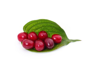 Beyaz arka planda izole edilmiş kızılcık ve yeşil yapraklar..