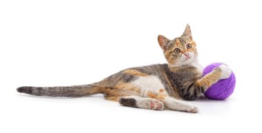 Kitten with a ball isolated on a white background. clipart