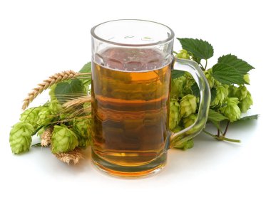 Beyaz arka planda izole edilmiş bir bardak bira ve buğday..