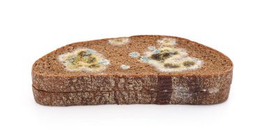 Küflenmiş ekmek parçası beyaz arkaplanda izole edilmiş..