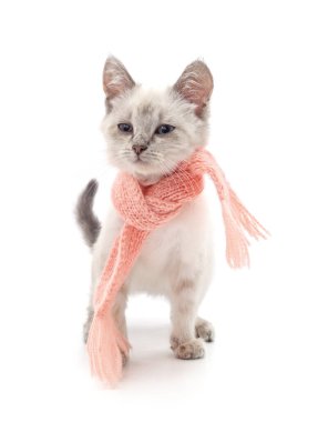 Cat in a scarf isolated on a white background. clipart