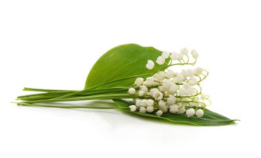 Beyaz bir arka planda izole edilmiş bir buket beyaz zambak..