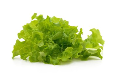 Beyaz arkaplanda yeşil marul yaprakları var..