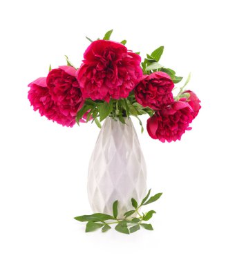 Beyaz arka planda izole edilmiş vazodaki kırmızı şakayıklar..