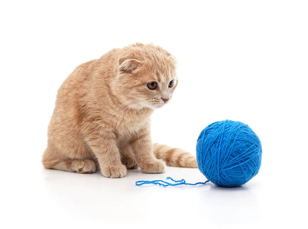 Kitten with a ball on a white background.