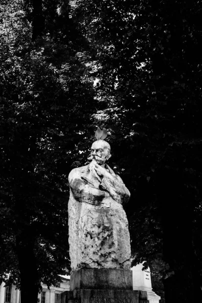 Статуи Бергамо Исторические Памятники Центре Бергамо Баса — стоковое фото