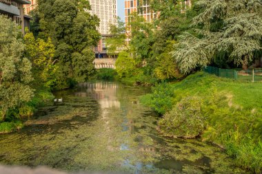 Güneşli bir ağustos gününde köprüden Padua nehri