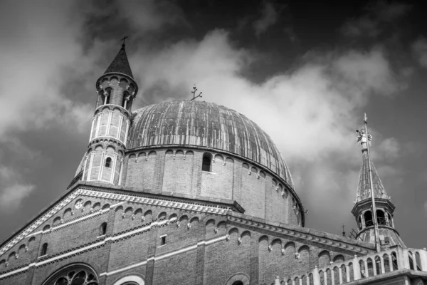 Basílica Sant Antonio Padova Blanco Negro —  Fotos de Stock
