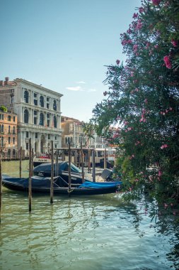 VENEZIA, İTALYA - 17 Ağustos 2023: gondollar limana yanaştı, Venedik kayık parklarına.