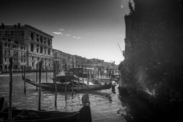Venezia Italy Серпня 2023 Гондоли Прикріплені Порту Човнових Парках Венеції — стокове фото