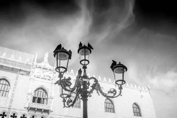 威尼斯 意大利 2023年8月17日 从圣马克广场看到的前景中的毒蛇灯柱 — 图库照片