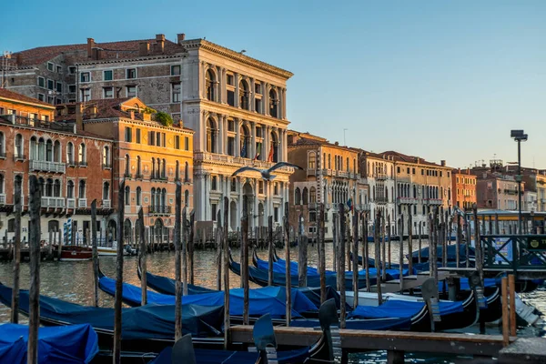 Venezia Itálie Srpna 2023 Pohled Velkolepý Kanál Popředí Gondolami Při — Stock fotografie