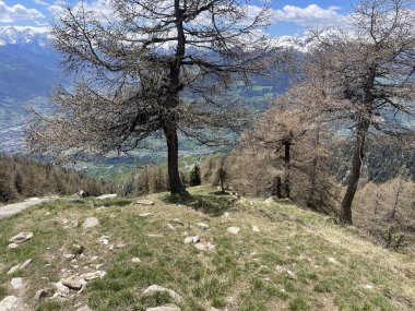 İtalyan Alpleri 'nin hava manzarası, arka planda karla kaplı tepeler, mavi gökyüzü ve beyaz bulutlar.