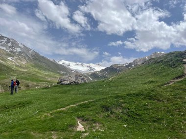 Güneşli bir günde Alp Dağları manzarası