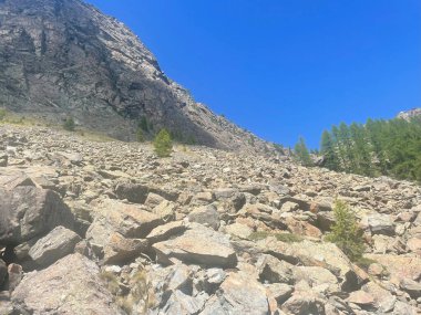 İtalya 'nın Aosta Vadisi' ndeki Mont Avic Doğal Parkı 'ndaki engebeli alp arazisi. Ön planda sivri kayalar ve kozalaklı ağaçlar ve küçük çalılar da dahil olmak üzere seyrek bitkiler yer alıyor..