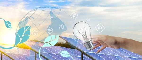 Glödlampa Förnybar Energi Och Begreppet Solenergi Och Hållbar Elförbrukning Grön — Stockfoto