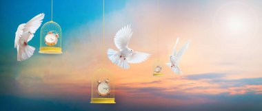 Sarı kafesteki çalar saat, düşünce özgürlüğü kavramında beyaz bir güvercin, hapsetme süreci, barış, saflık, affedilme, kazanan, afiş, kopyalama alanı, 3D görüntüleme fikri.