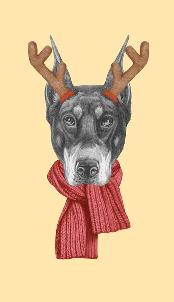 Retrato Doberman Pincher Con Cuernos Navidad Ilustración Dibujada Mano —  Fotos de Stock