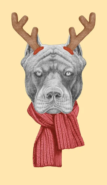 Porträt Von Pit Bull Mit Weihnachtsgeweihen Handgezeichnete Illustration — Stockfoto