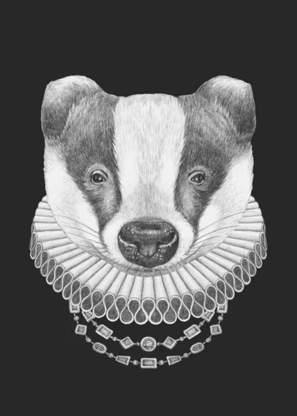 Potret Badger Dengan Elizabeth Collar Ilustrasi Gambar Tangan — Stok Foto