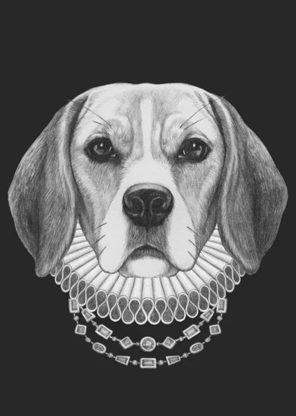 Portret Beagle Elżbietańskim Kołnierzem Ilustracja Ręcznie Rysowana — Zdjęcie stockowe