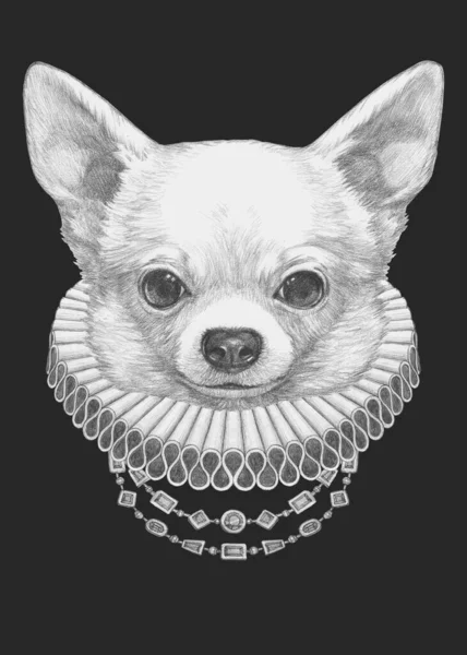 Retrato Chihuahua Con Collar Isabelino Ilustración Dibujada Mano —  Fotos de Stock