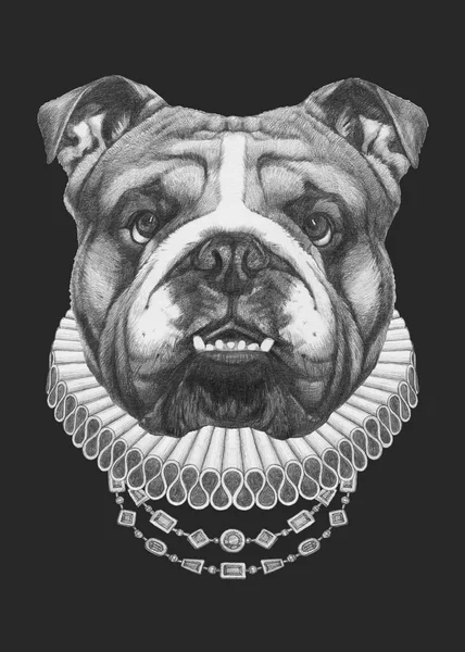 Portrait English Bulldog Elizabethan Collar Hand Drawn Illustration — Stock Photo, Image
