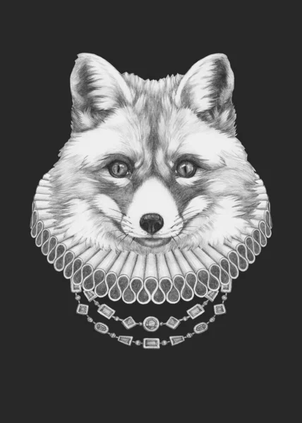 Retrato Fox Con Cuello Isabelino Ilustración Dibujada Mano — Foto de Stock